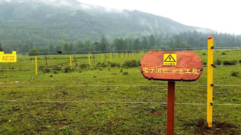 小牛看家電子圍欄，走進(jìn)新疆喀納斯森林公園